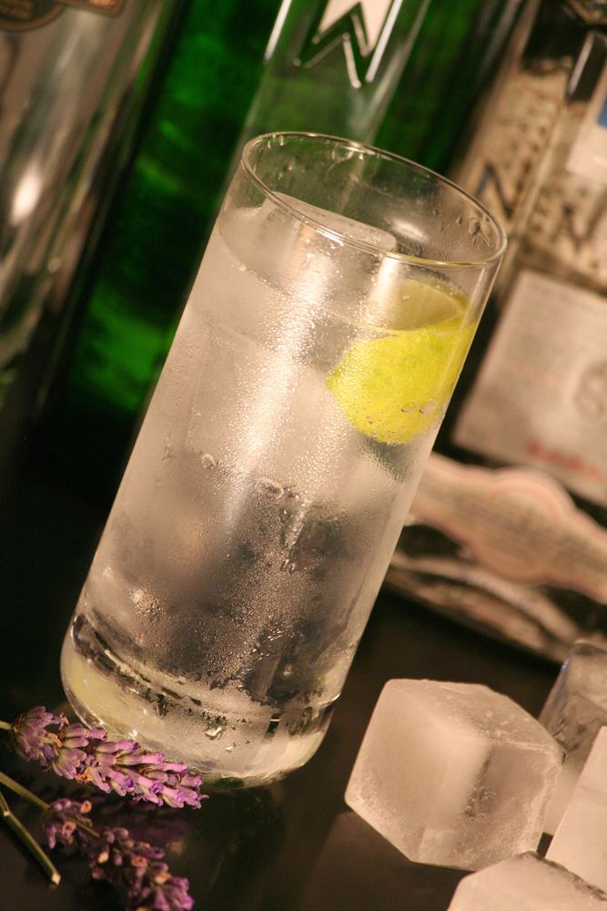 Gin tonic in un bicchiere alto con ghiaccio e una fetta di lime